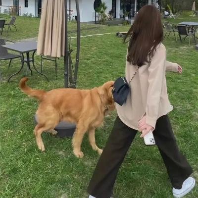 最后的独角兽